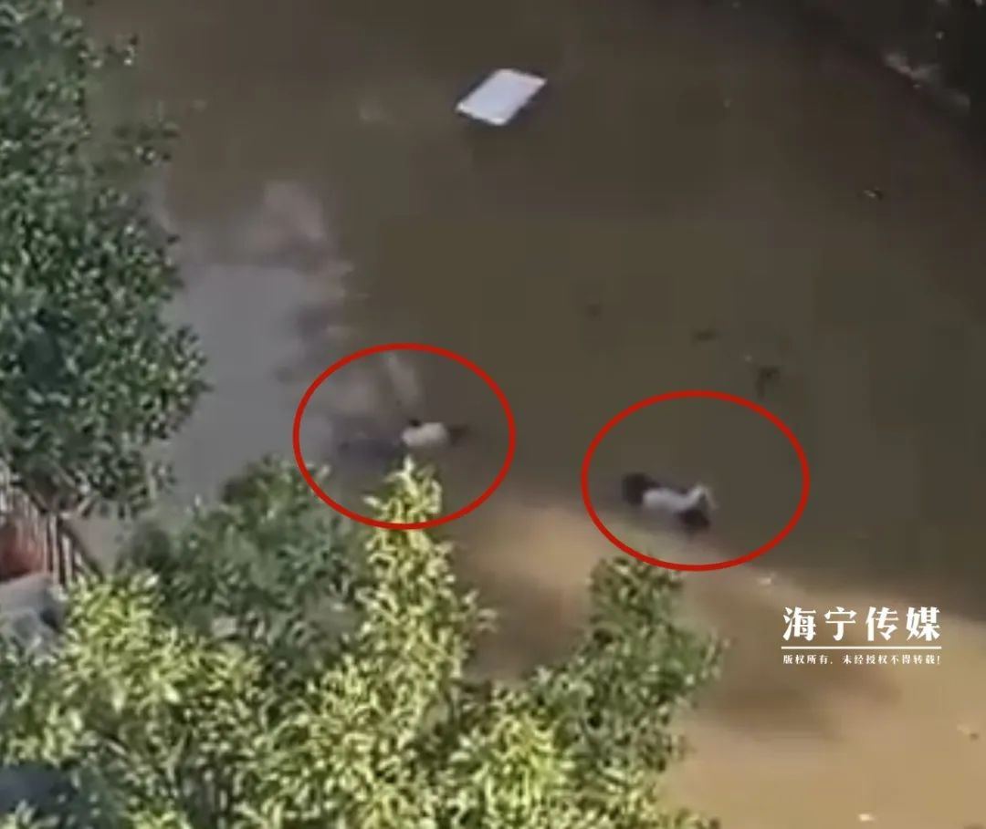 1935534110084673536.jpg 图片