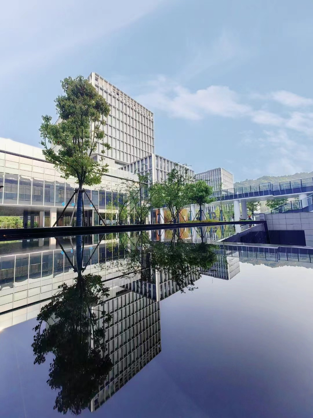 从微更新到城市更新:滨江区如何走出“全省唯一 两届上榜”住建部典型案例之路