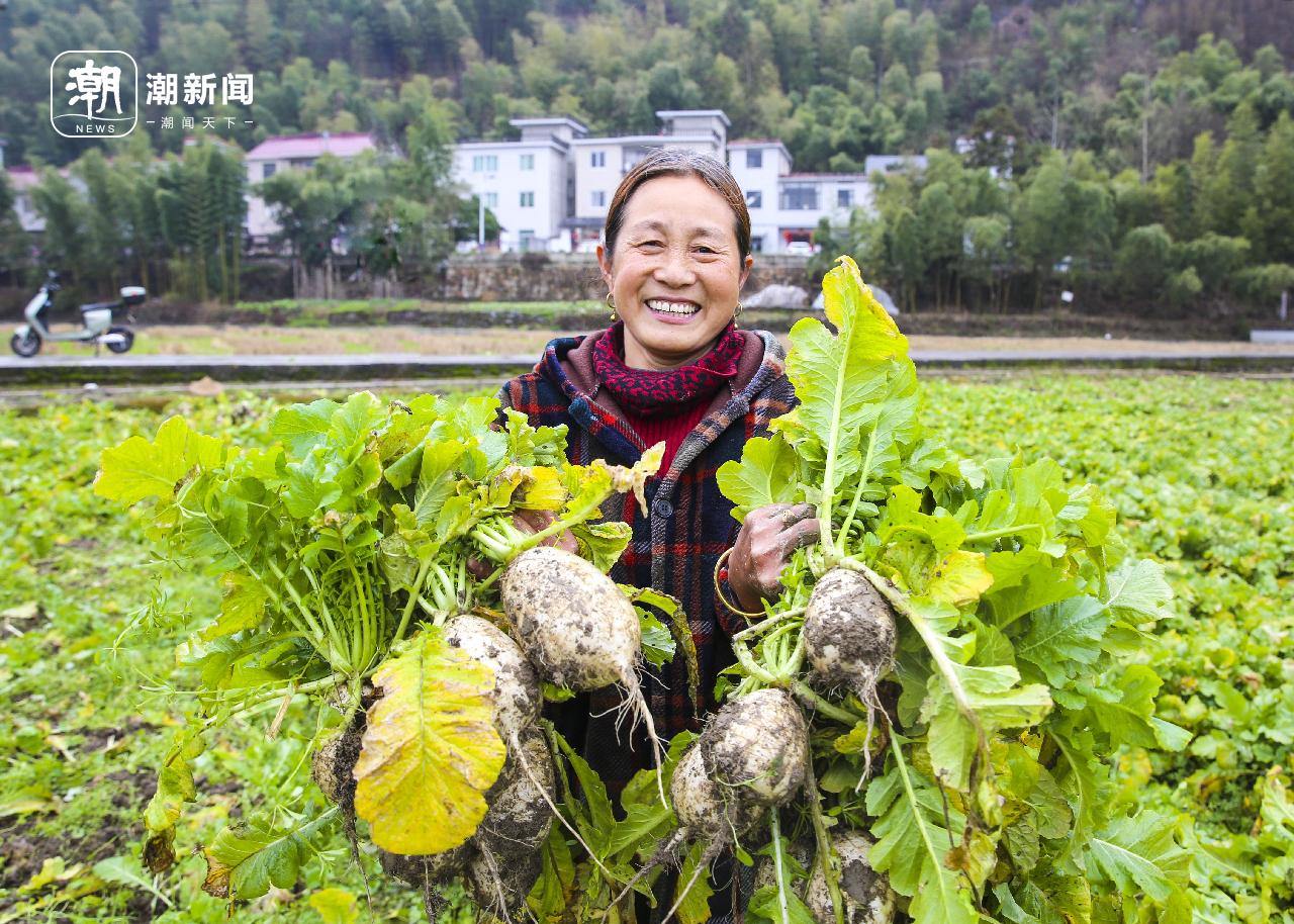 淳安县大墅镇孙家畈村农闲田丰收。拍友 王建才 摄(浙报集团资料照片).jpg
