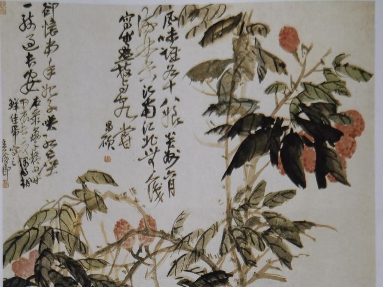 画作之中品荔枝