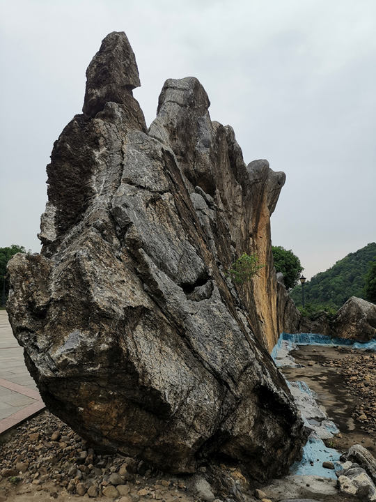 微信图片_20250627180440.png
