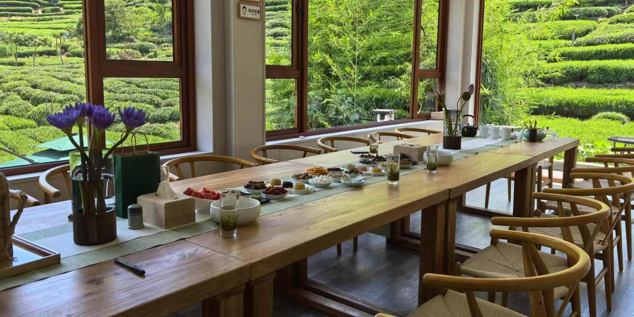 与家乡双向奔赴，新生代茶人定义产业未来