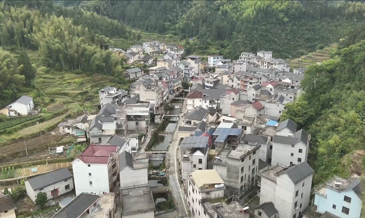 图1,开化县何田乡龙坑村全貌。.png