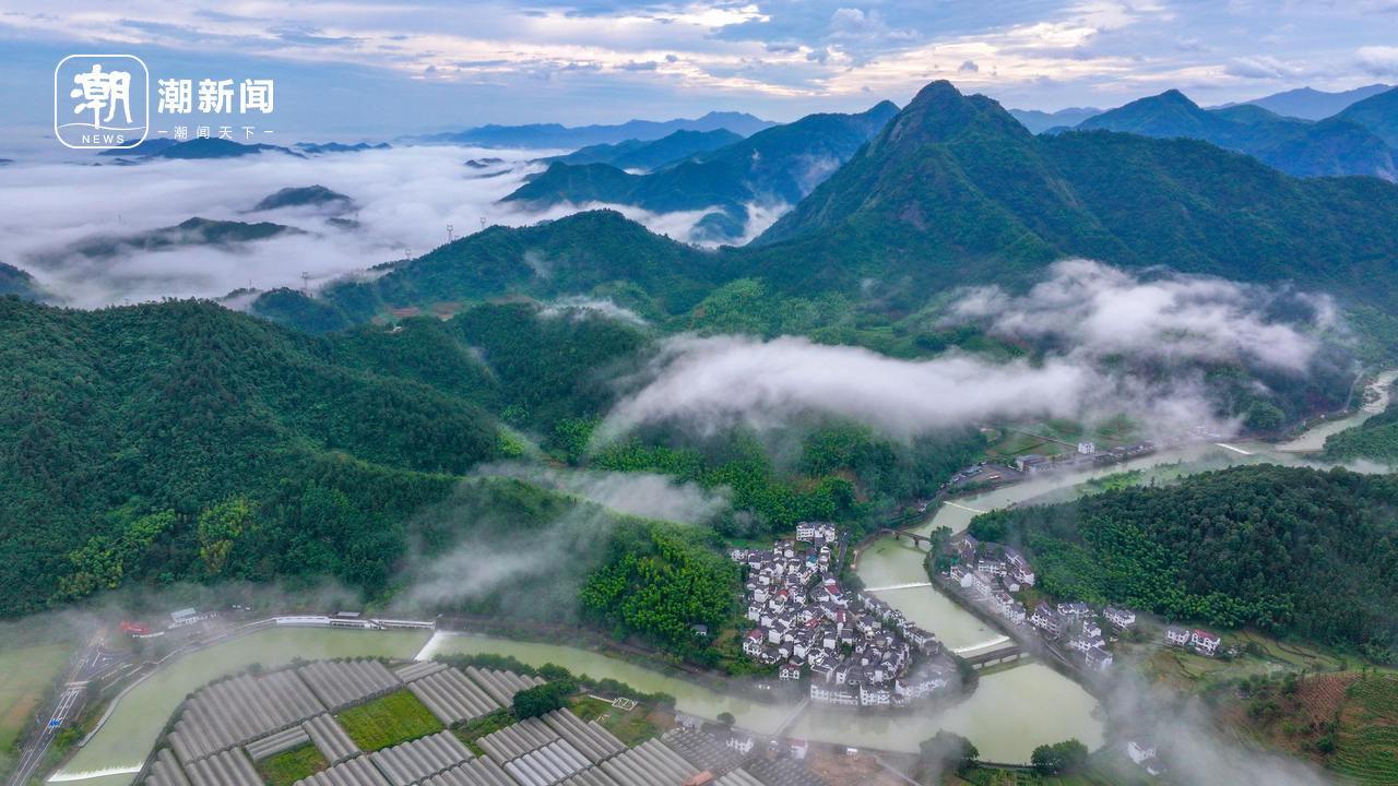 下姜村。拍友 杨波 摄(浙报集团资料照片).jpg