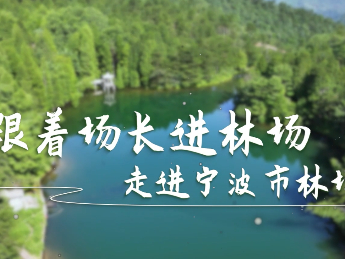 【专题】生态共富路 林场有力量 浙江国有林场改革发展成效展示