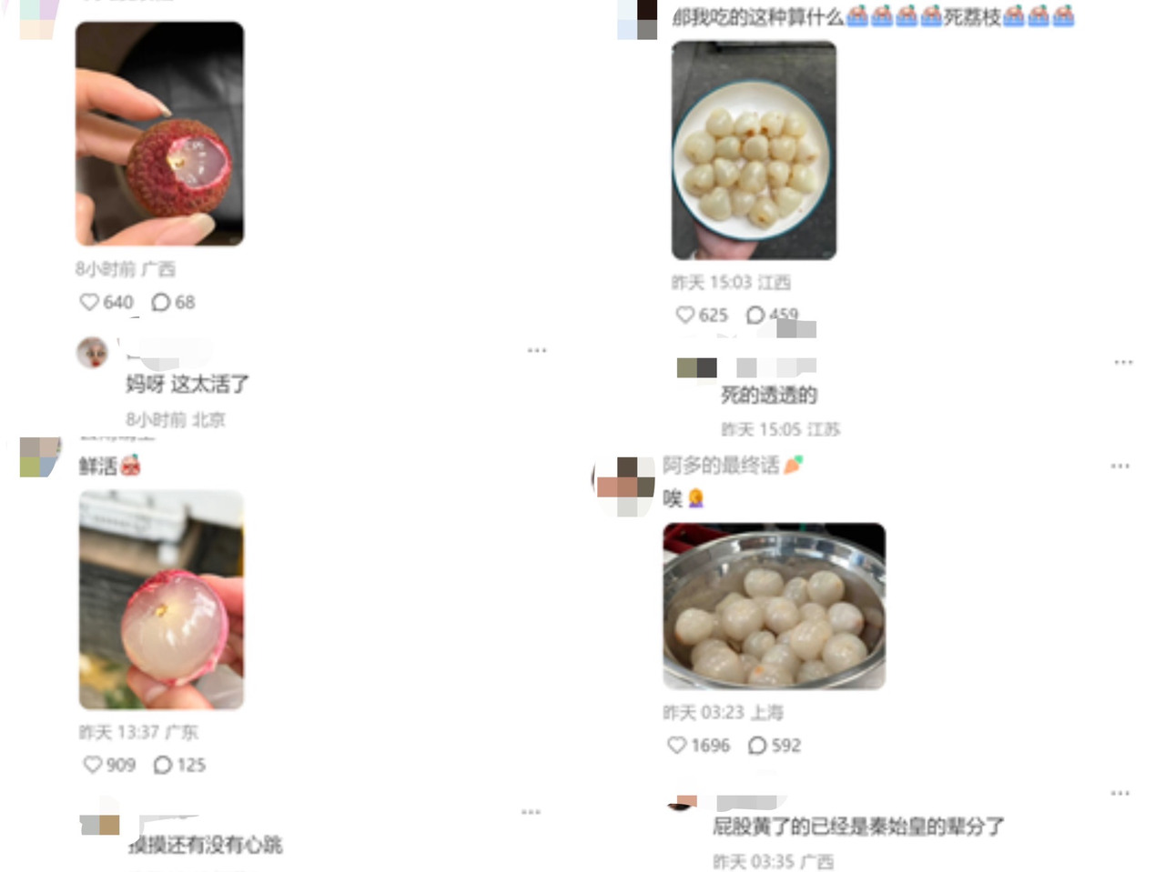 微信图片_20250711100256.jpg