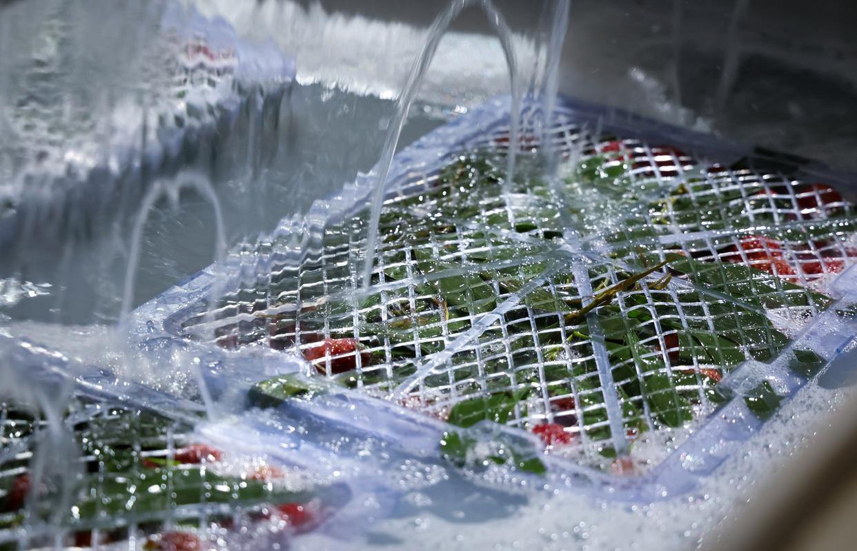 1943492480238333952.jpg