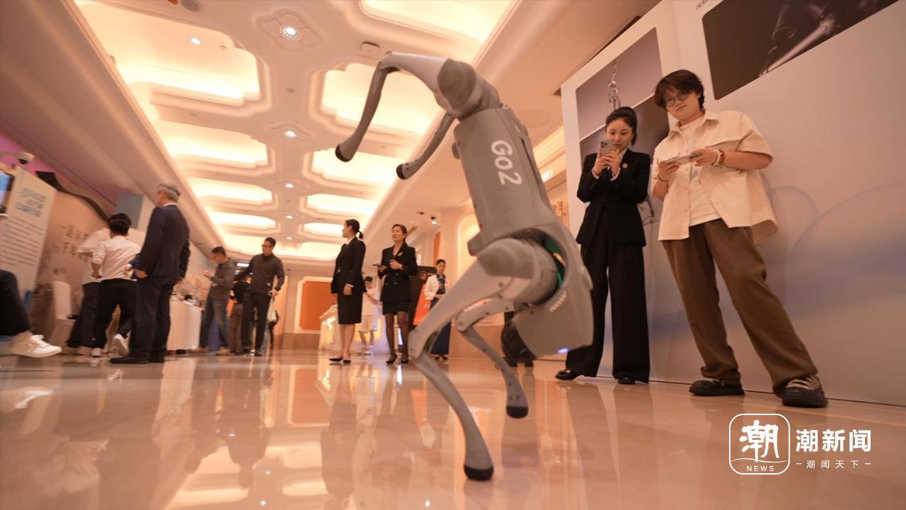 从“骨骼”武装到“牙齿”，“科技浙江”秀肌肉