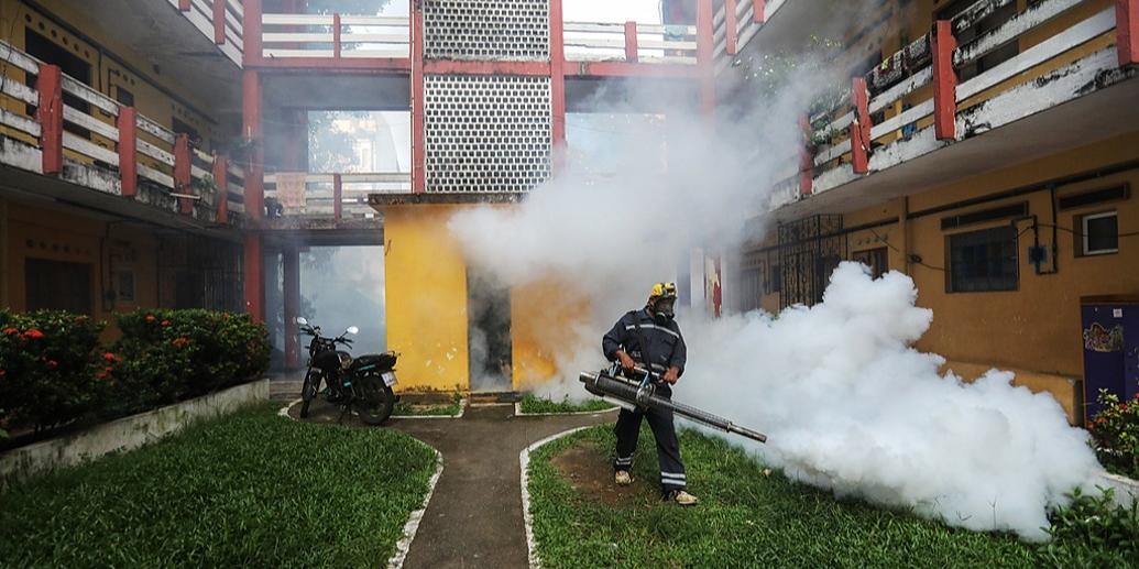 世卫专家提醒防范基孔肯雅热暴发