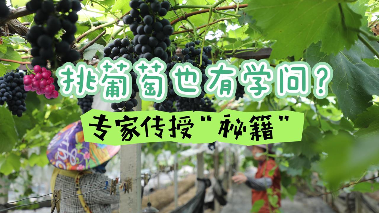 有请科普人 | 科学潮人秀 一起涨知识