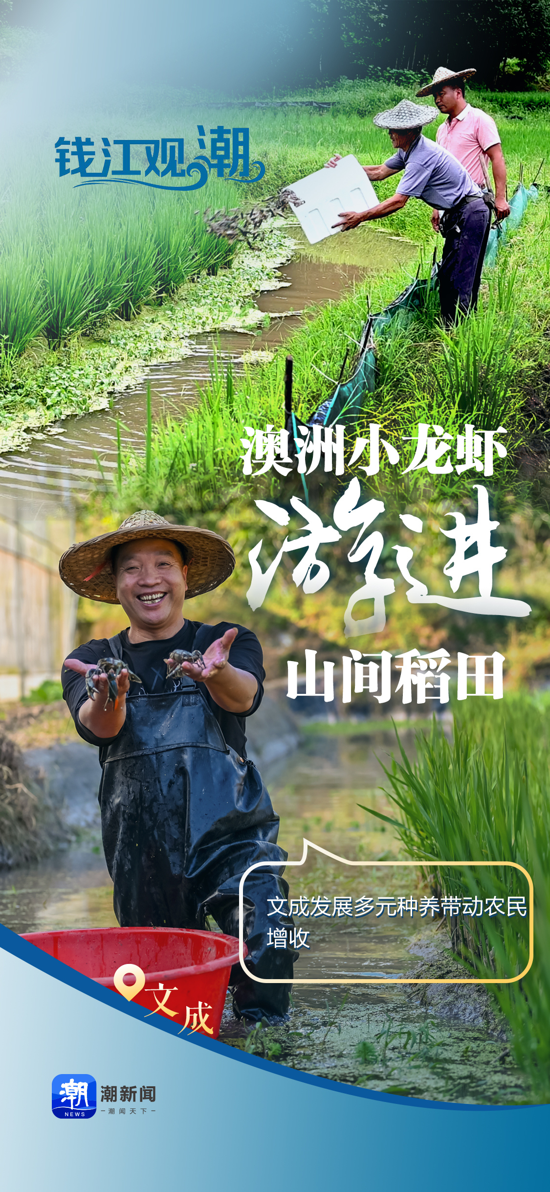 微信图片_2025-08-06_095932_750.jpg