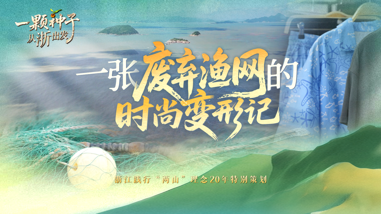 海报.png