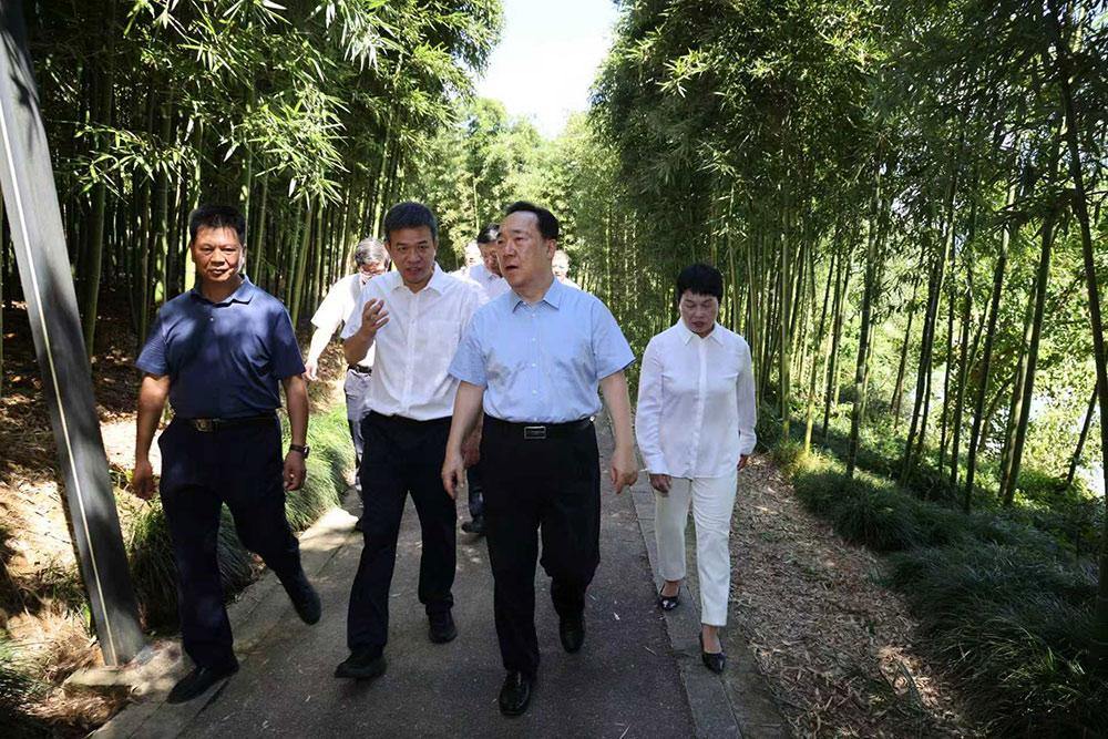王浩在杭州专题调研生态环保工作.jpg