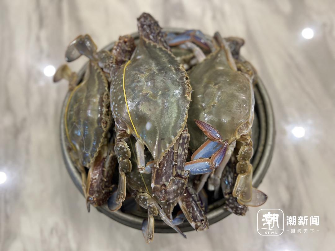 微信图片_2025-08-18_115841_128.jpg