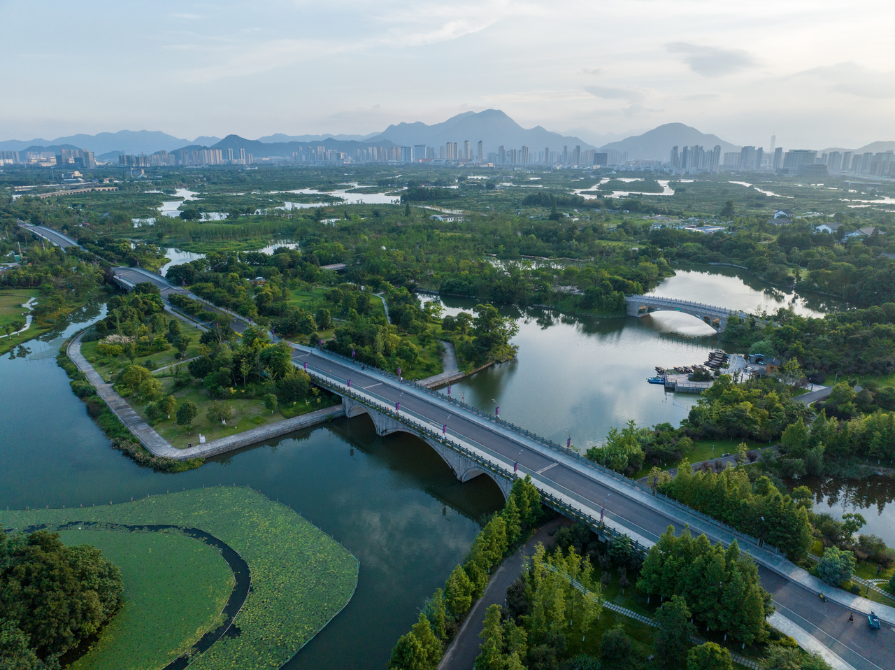 浙报聚焦丨城市核心处有座生态园 温州三垟湿地持续打造园城融合新场景