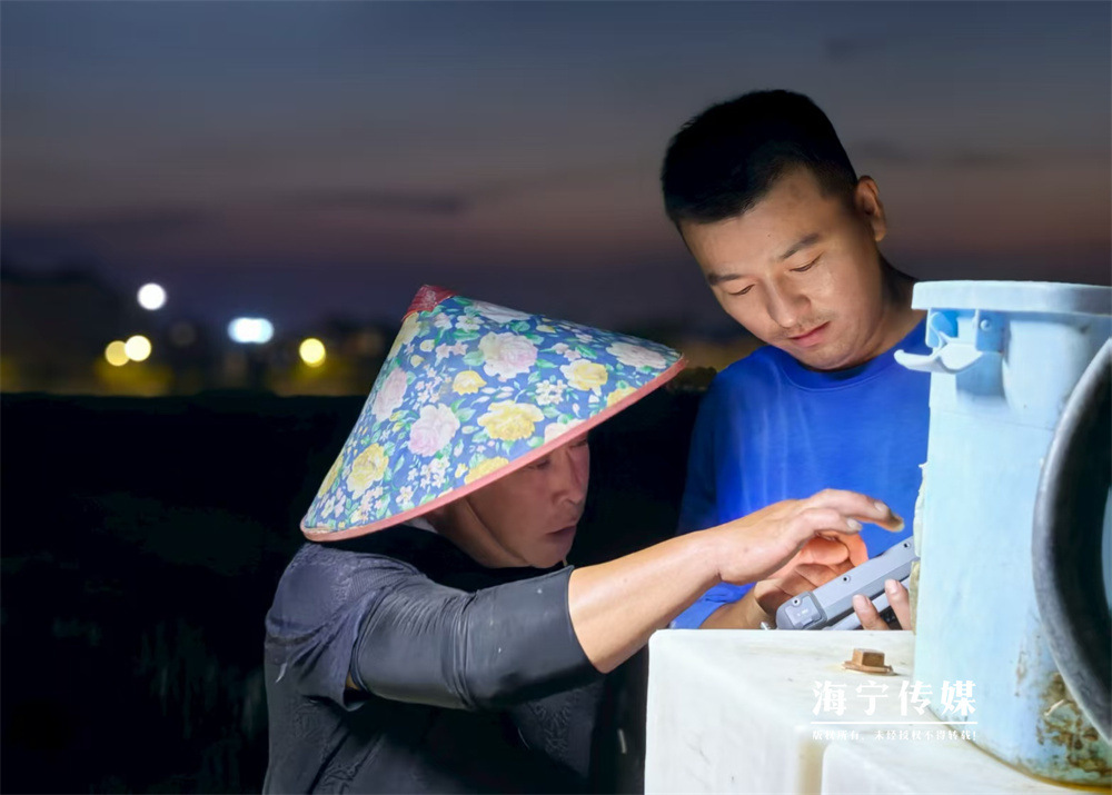 避开高温熬通宵!海宁田间“飞手”一夜撒完10吨化肥