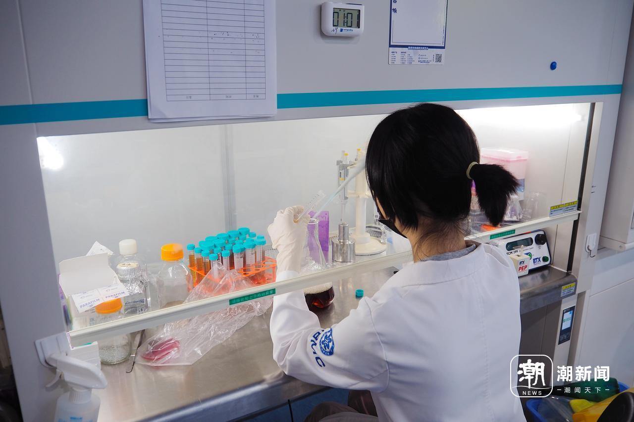 2-2 科研人员在超净台上操作。潮新闻记者 吴馥梅 摄.JPG