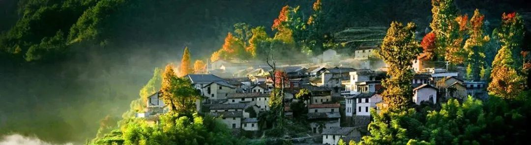 1967037142135685120.jpg 图片