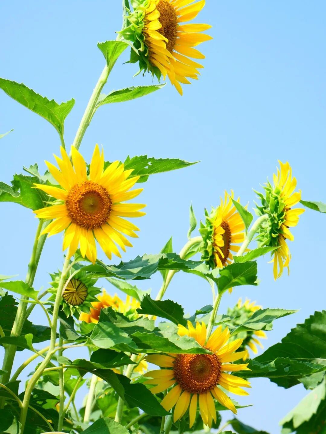 1967037142022438912.jpg 图片