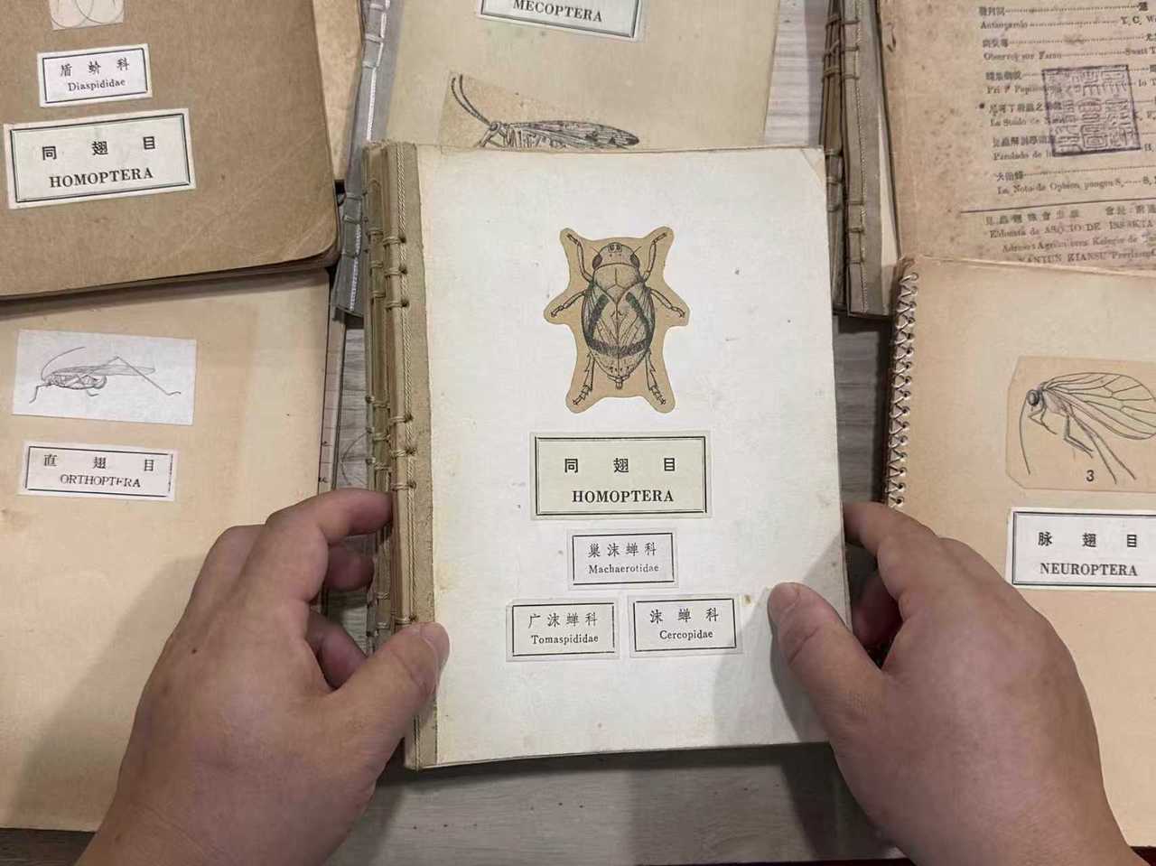 微信图片_20250918150457_982_84.jpg