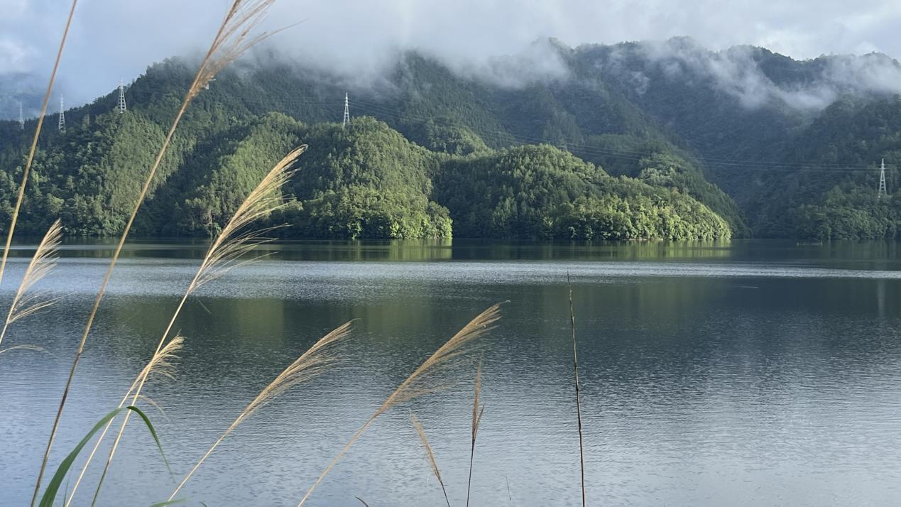 图片[2]-扎根乡土 艺术耕耘｜“千岛湖·淳安梓桐镇入驻艺术家联展”启幕-华闻时空