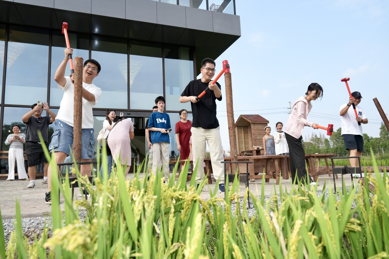 番茄C位“特冒头” ,平湖乡野农场趣玩出道