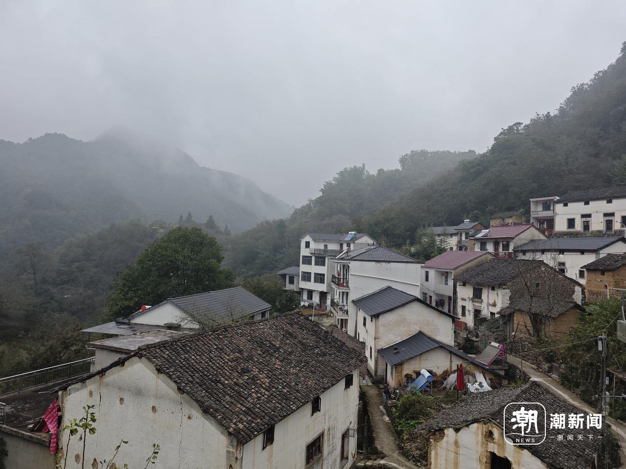 微信图片_2025-10-26_165310_451.jpg