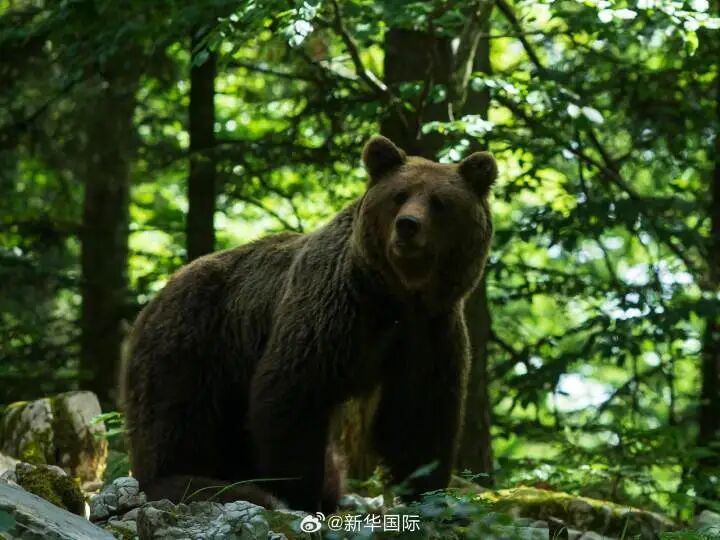 微信图片_2025-10-31_123055_961.jpg