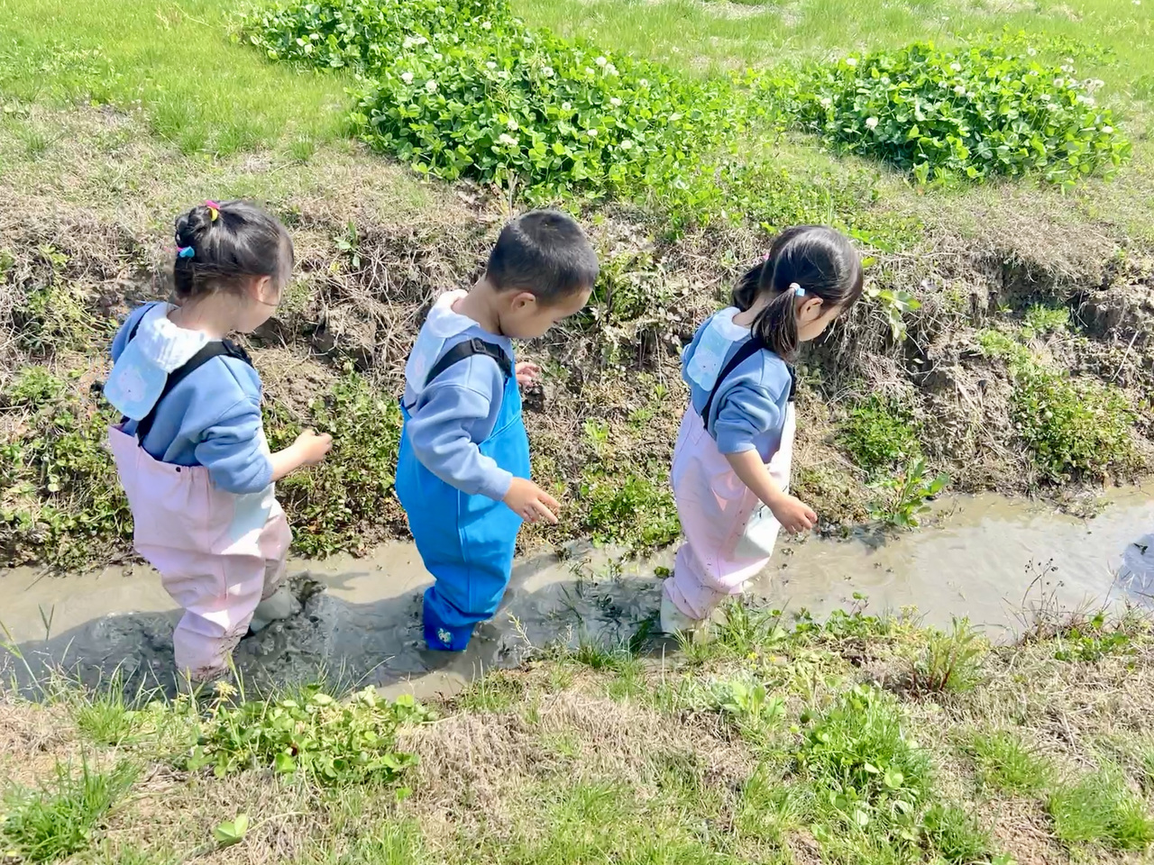 托幼一体4.jpg