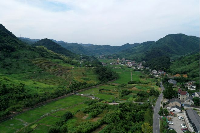 image003.png