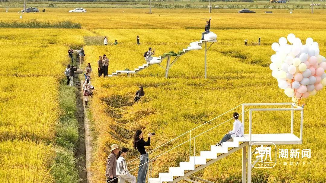 乡村秋色 记者 梁臻 彭鹏 摄.jpg