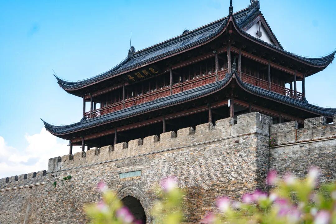 1991433320990224384.jpg 图片
