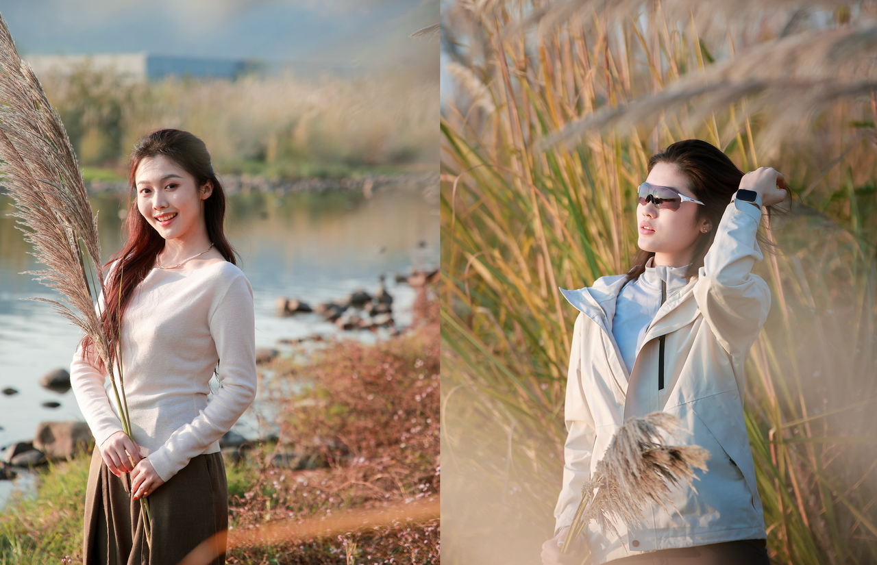 壺源溪蘆花開得正美