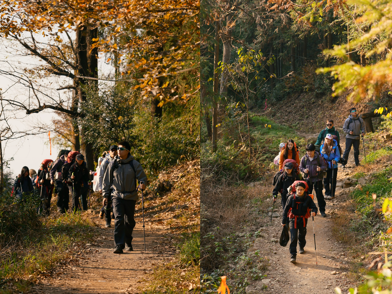 龍門山古道徒步中