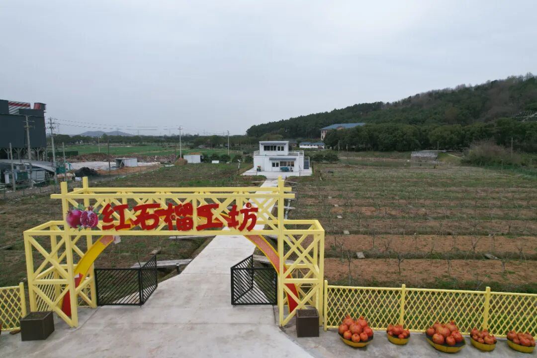 1993998244044058624.jpg 图片