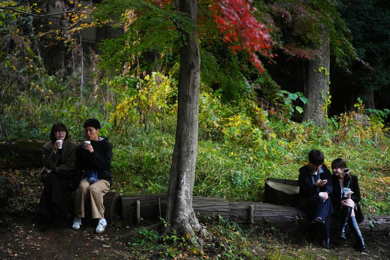 熊出没”频发日本保险公司首创旅游机构“熊害”保险