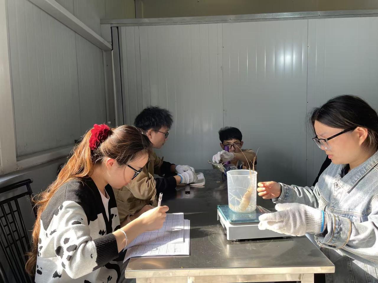微信图片_20251201170225_17_615.jpg