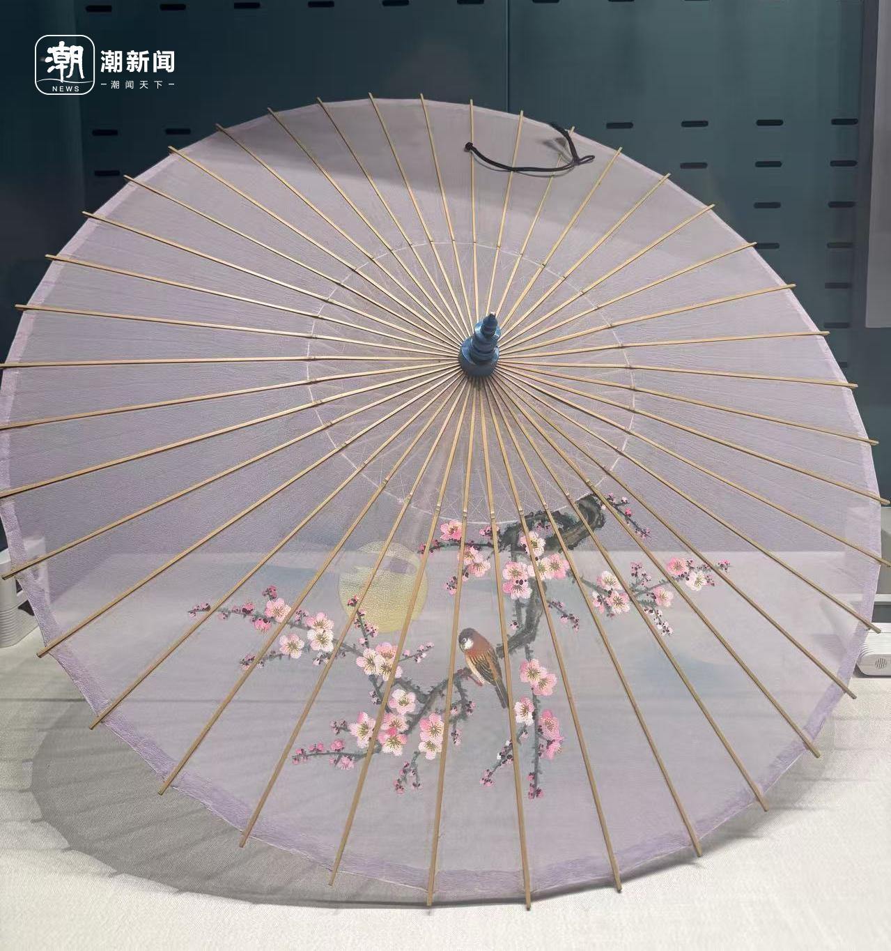 伞博上新五把西湖绸伞，再现上世纪精品，值得去看