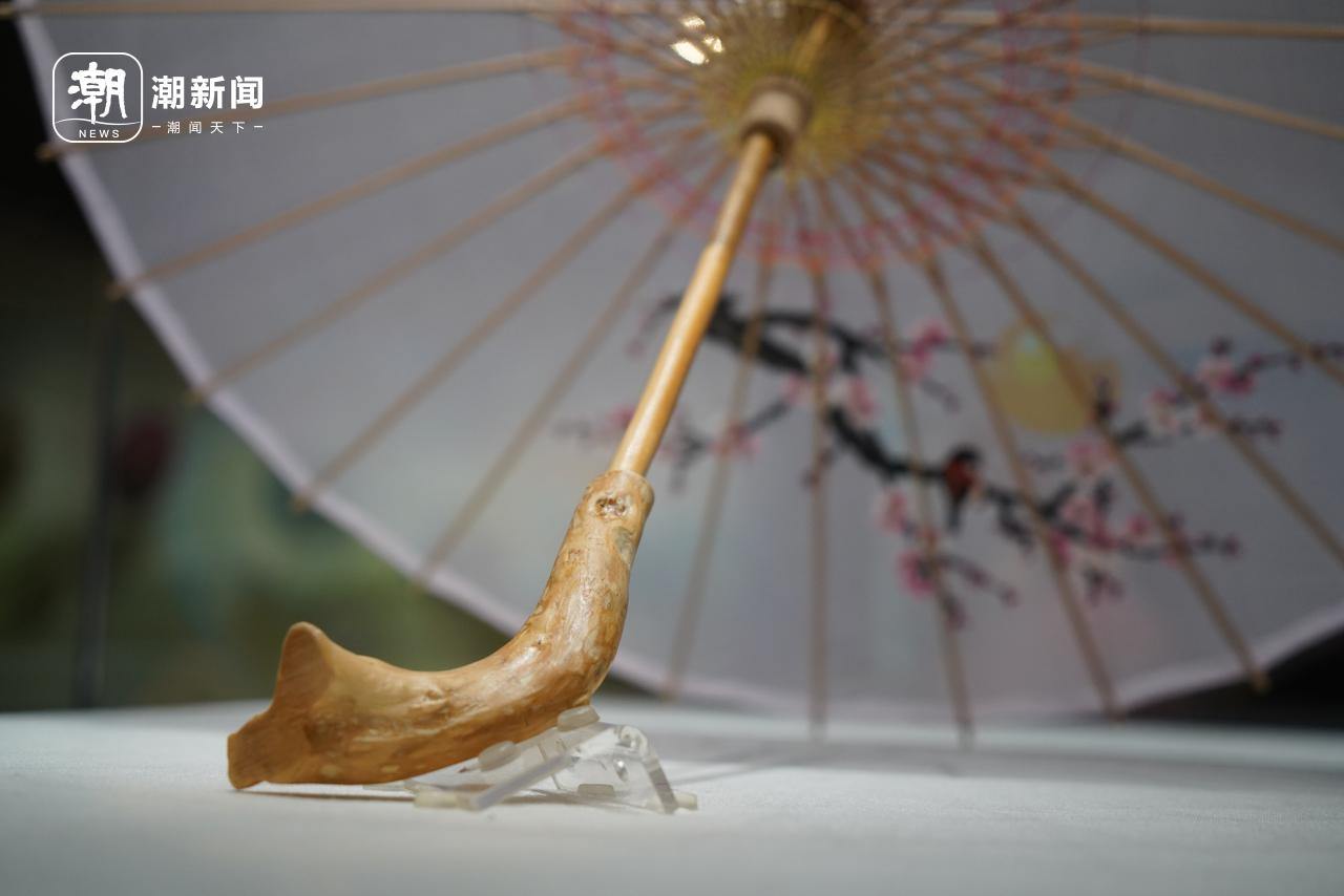 伞博上新五把西湖绸伞,再现上世纪精品,值得去看