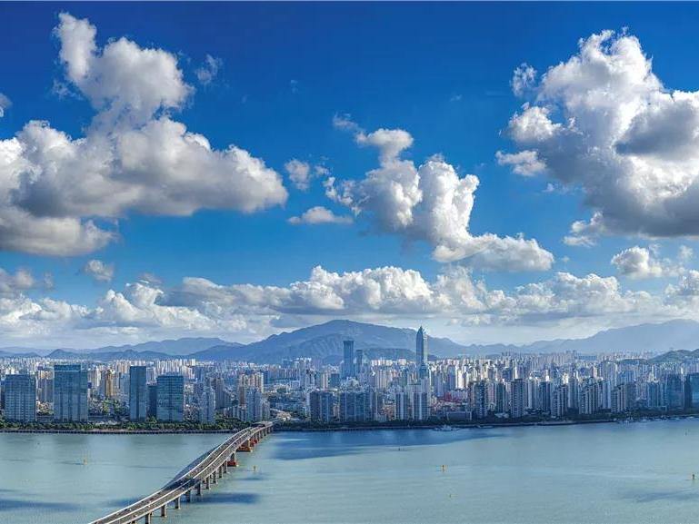 浙报聚焦丨这堂“未来必修课”怎么上 我省推进中小学人工智能通识教育