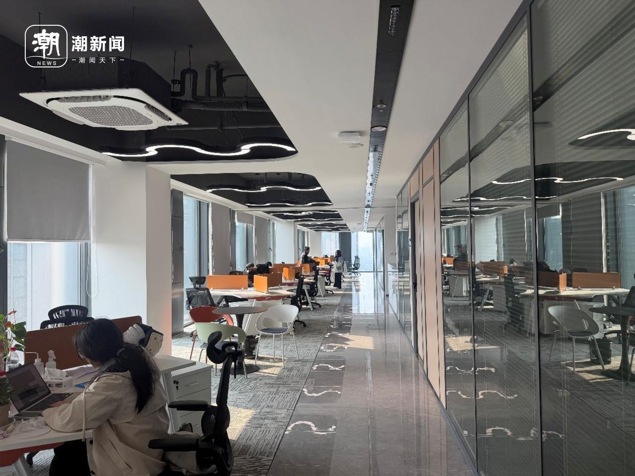 从鸿雁到鸿鹄，“一人公司”在杭州如何“孵化”？