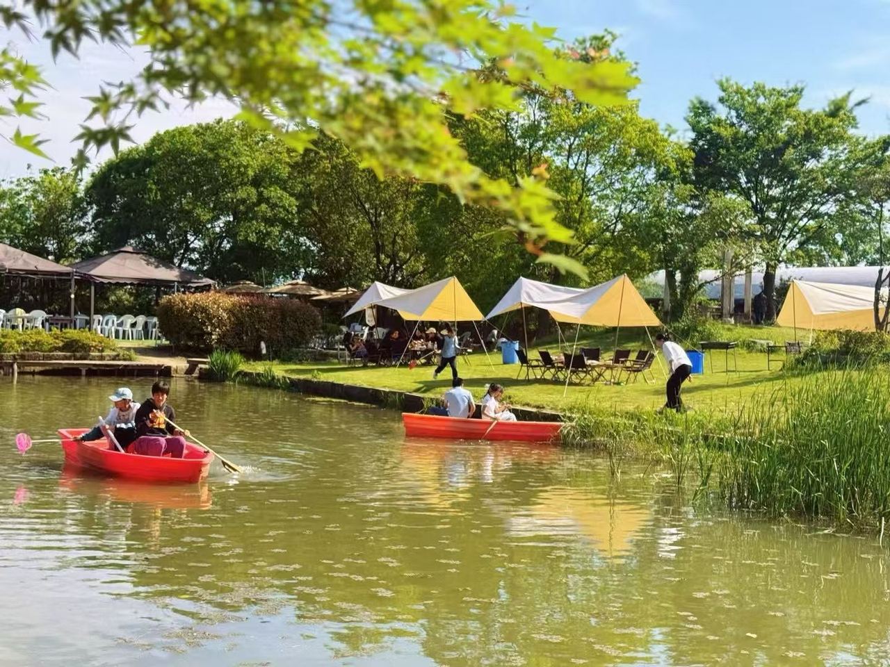 心意农场 (2).jpg