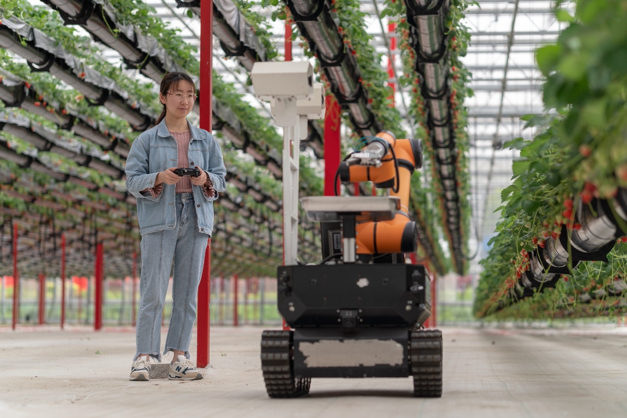 image007.jpg