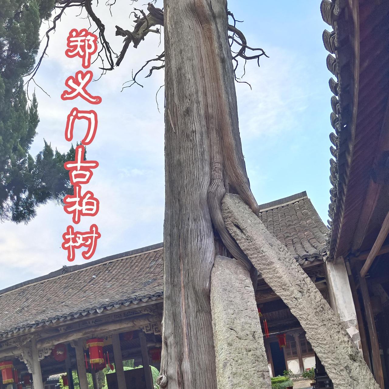 晚潮｜一种生命对另一种生命的拥抱