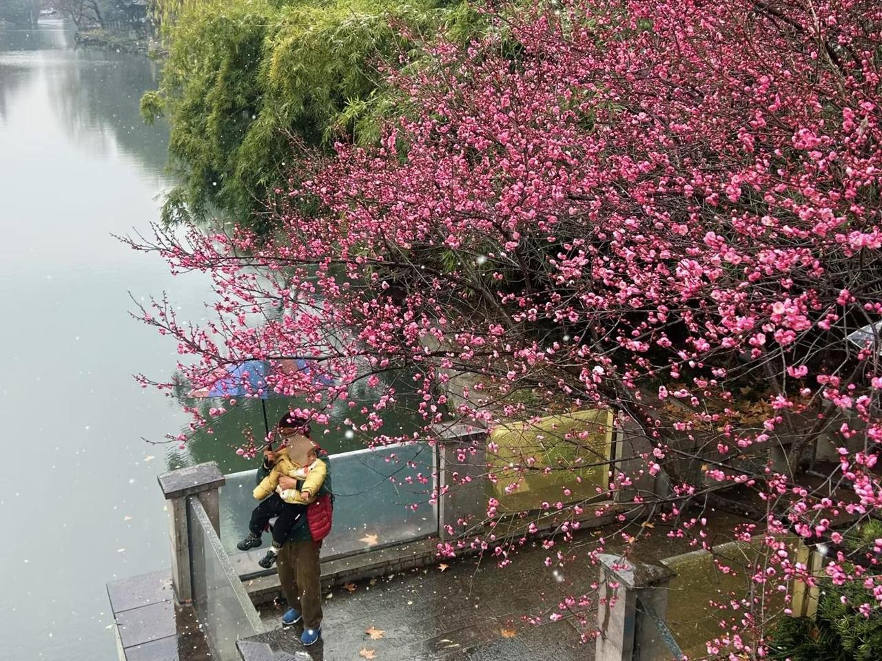 春节浙江人去哪玩？分享你的独家年味，赢潮新闻独家展示位