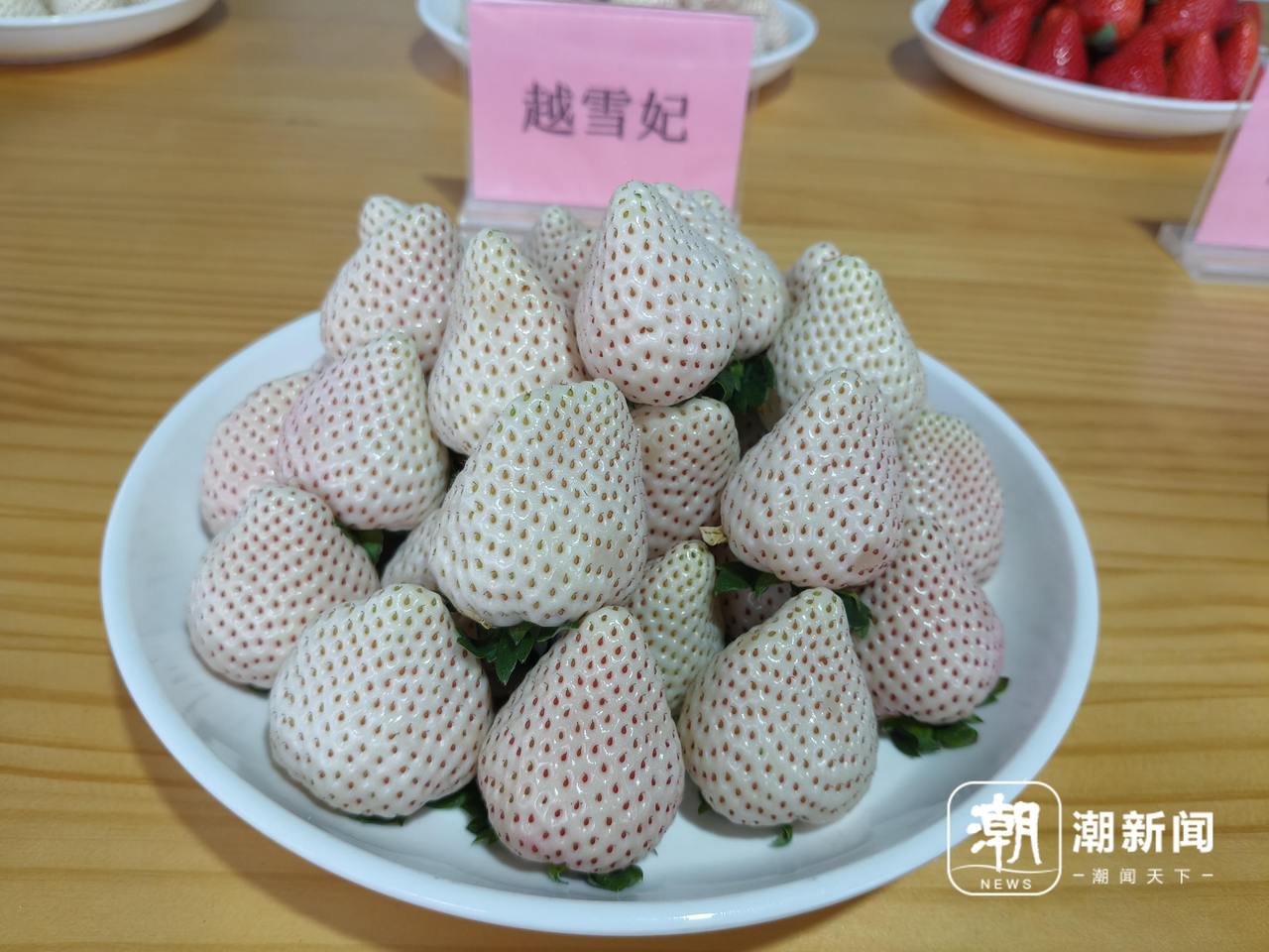 微信图片_20260122153806_62_31.jpg