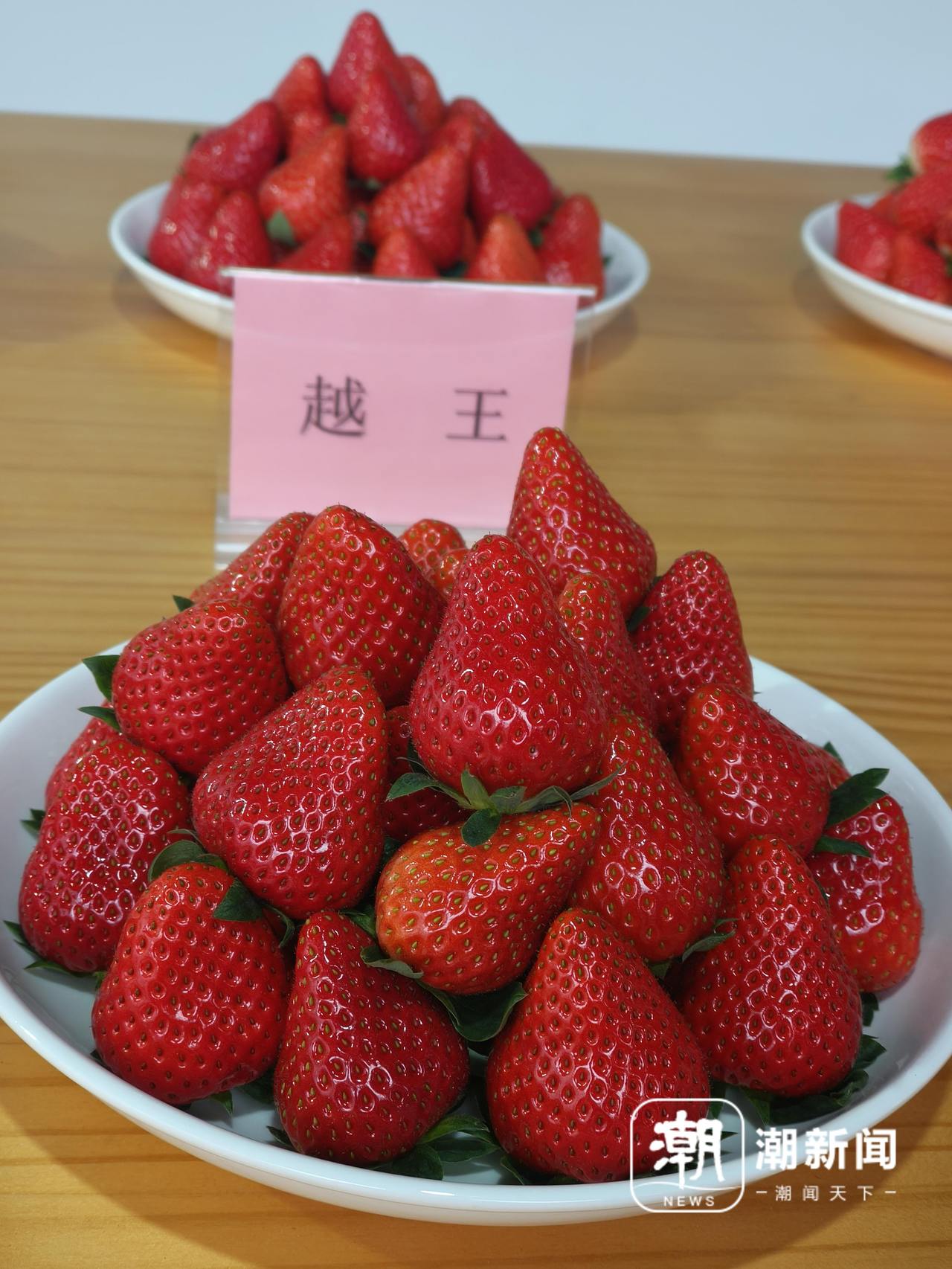 微信图片_20260122153843_63_31.jpg