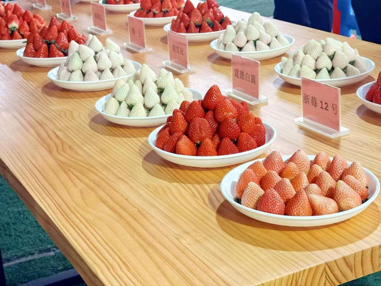 微信图片_20260122154320_65_31.jpg