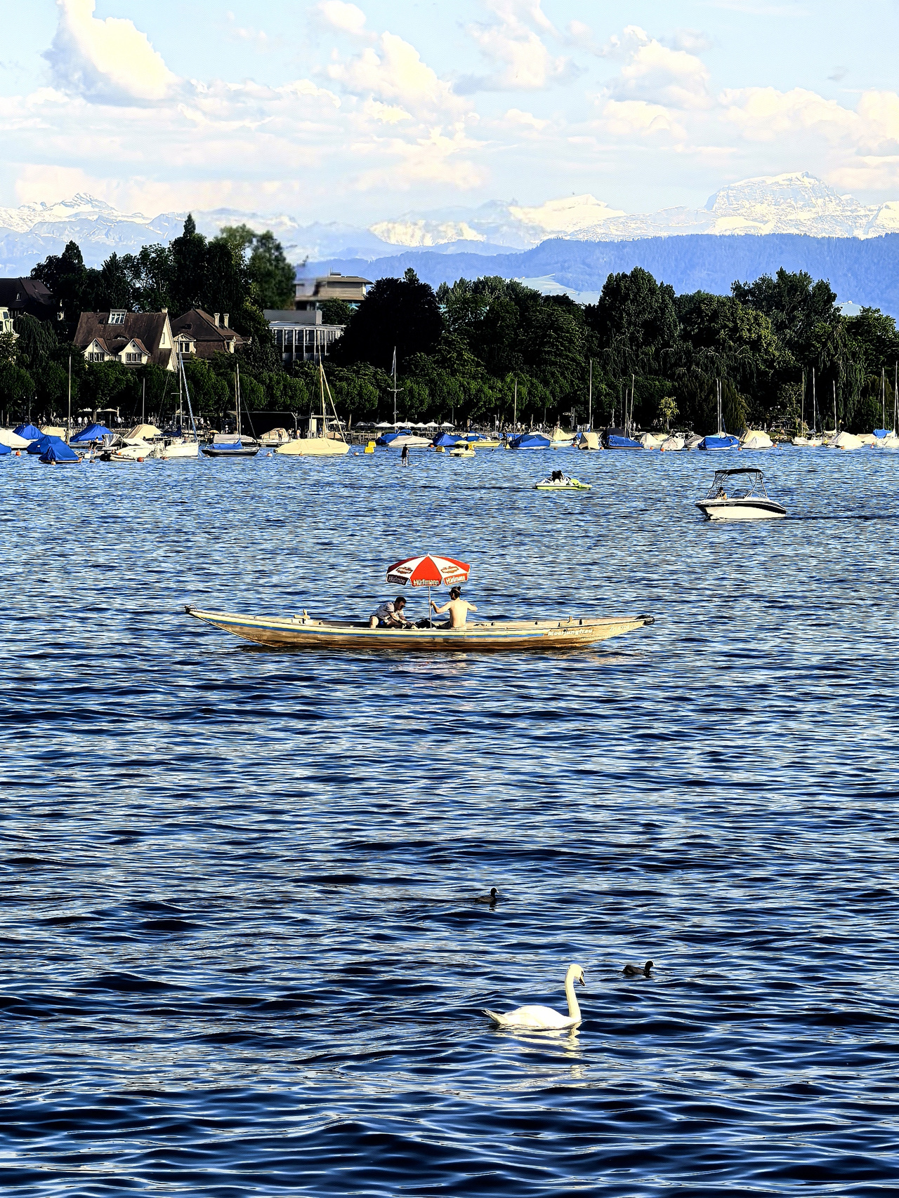 晚潮｜徜徉在苏黎世尘世繁华和湖光静气之间