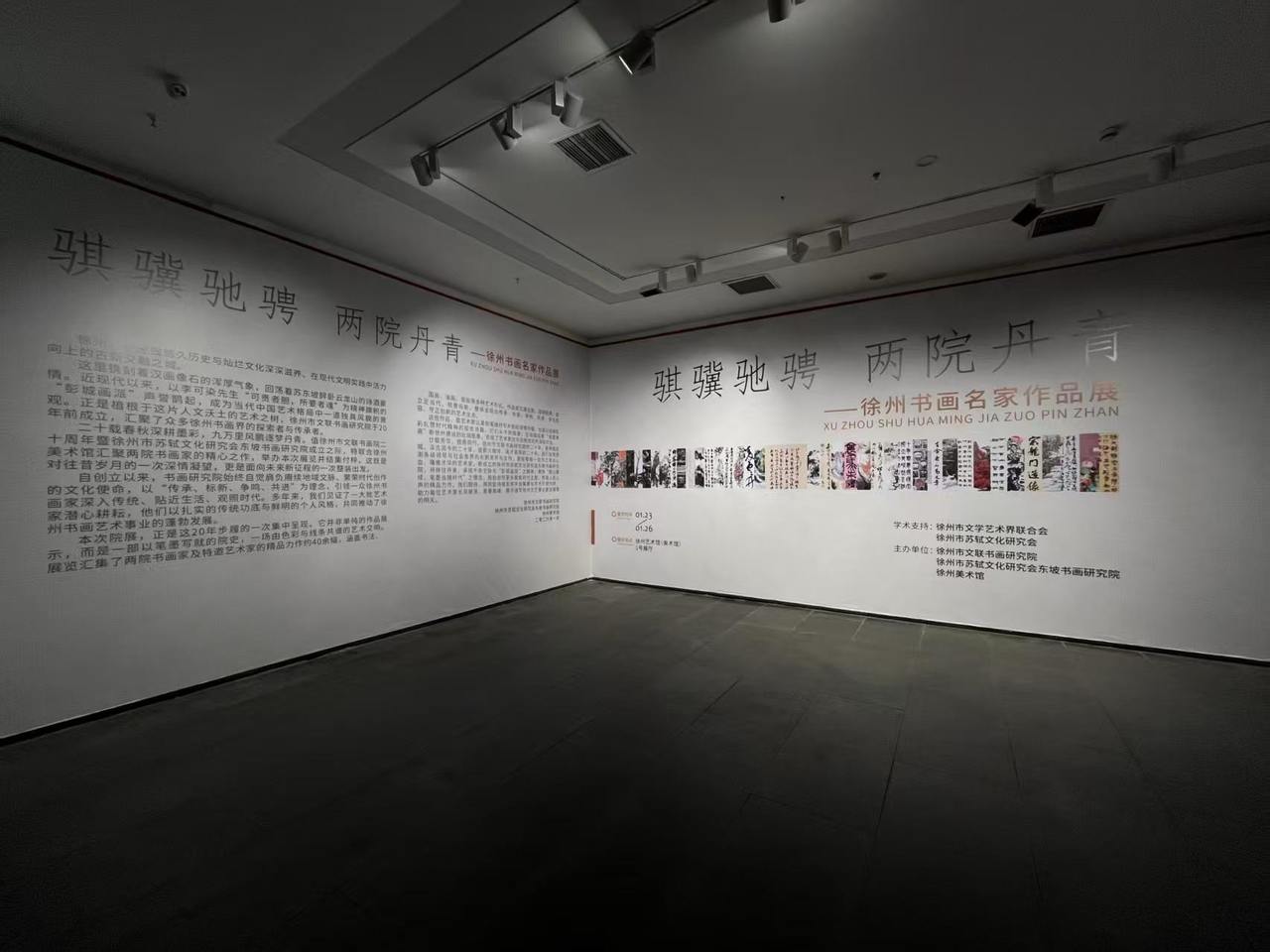 骐骥驰骋两院丹青——徐州书画名家作品展”开展